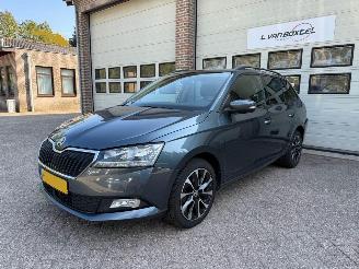 Damaged car Skoda Fabia 1.0 TSI Business Edition Navi Clima Cruise NAP 2020/3