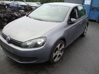 disassembly passenger cars Volkswagen Golf  2010/1