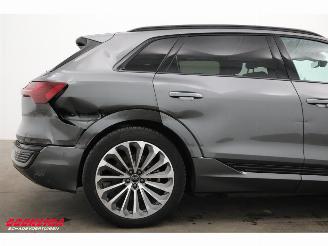 Audi Q8 55 quattro S-Line 115 kWh Pano LED ACC Memory AHK picture 9