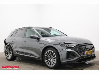 Audi Q8 55 quattro S-Line 115 kWh Pano LED ACC Memory AHK picture 2