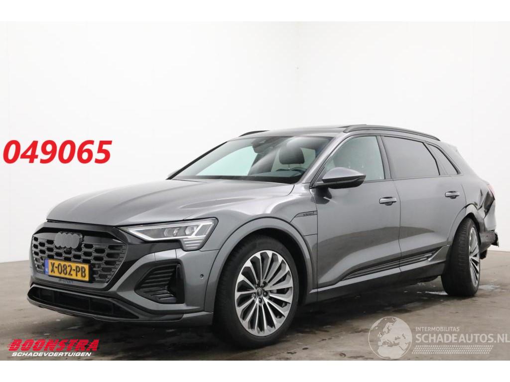 Audi Q8 55 quattro S-Line 115 kWh Pano LED ACC Memory AHK