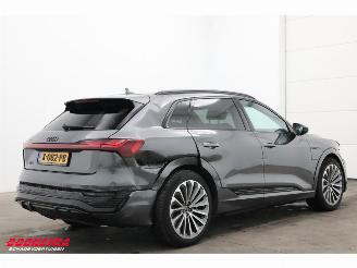 Audi Q8 55 quattro S-Line 115 kWh Pano LED ACC Memory AHK picture 3