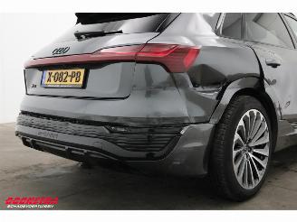 Audi Q8 55 quattro S-Line 115 kWh Pano LED ACC Memory AHK picture 8