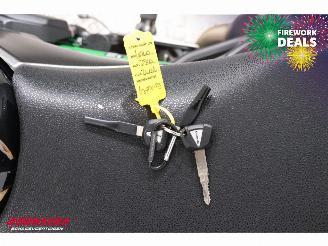 Kawasaki  Z900 ABS LED Remus picture 31