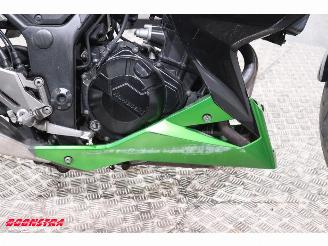 Kawasaki  Z 300 ABS picture 11