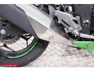 Kawasaki  Z 300 ABS picture 12