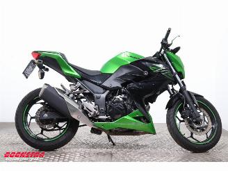Kawasaki  Z 300 ABS picture 7