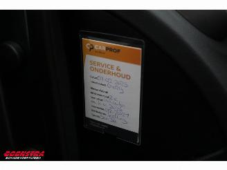 Renault Kadjar 1.3 TCe Limited LED Navi Clima Cruise PDC picture 27