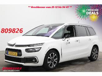 uszkodzony samochody osobowe Citroën Grand C4 SpaceTourer 1.2 PureTech Bns 7-Pers. Navi Clima Cruise Camera PDC AHK 46.725 km! 2020/9
