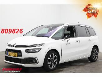 Vaurioauto  passenger cars Citroën Grand C4 SpaceTourer 1.2 PureTech Bns 7-Pers. Navi Clima Cruise Camera PDC AHK 46.725 km! 2020/9