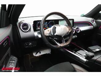 Mercedes EQB 250+ AMG Line 71 kWh LED Navi Clima Camera SHZ picture 18