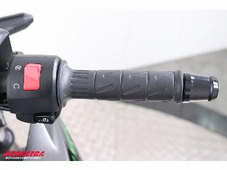 Kawasaki  Z650 ABS LED 1.378 km! picture 22