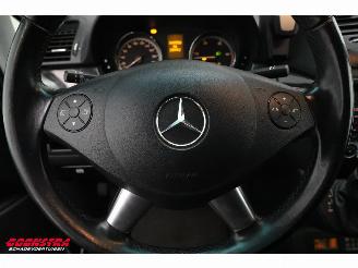 Mercedes  Viano 3.0 V6 CDI Aut. Marco Polo Hefdak Standkachel SHZ AHK picture 27