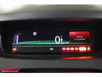Renault Zoé R90 Entry (ex Accu) Navi Clima Cruise Camera PDC picture 13