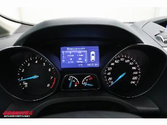Ford Grand C-Max 1.0 Titanium 6-Pers. Navi Clima Cruise Camera PDC picture 16