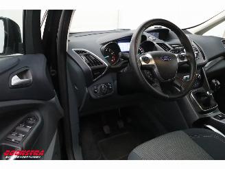 Ford Grand C-Max 1.0 Titanium 6-Pers. Navi Clima Cruise Camera PDC picture 14