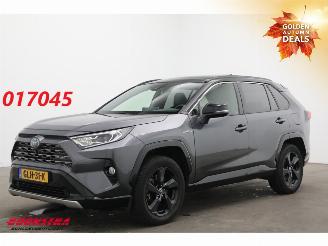 Schadeauto Toyota Rav-4 2.5 Hybrid AWD Active Pano LED ACC JBL 360° SHZ 2019/11