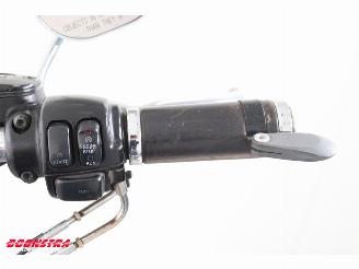 Harley-Davidson  FLSTN Heritage Softail picture 11