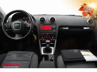 Audi A3 Sportback 2.0 TDI Navi Clima Cruise SHZ PDC AHK picture 15