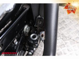 Harley-Davidson  XL883N Sportster BY 2021 picture 10