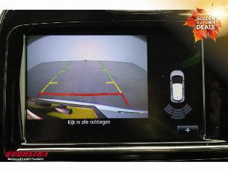 Renault Zoé R110 Limited 41 kWh Incl. Accu! Navi Clima Cruise Camera PDC picture 19