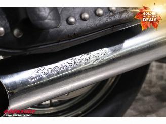 Harley-Davidson  FLSTC Heritage Softail Screaming Eagle picture 9