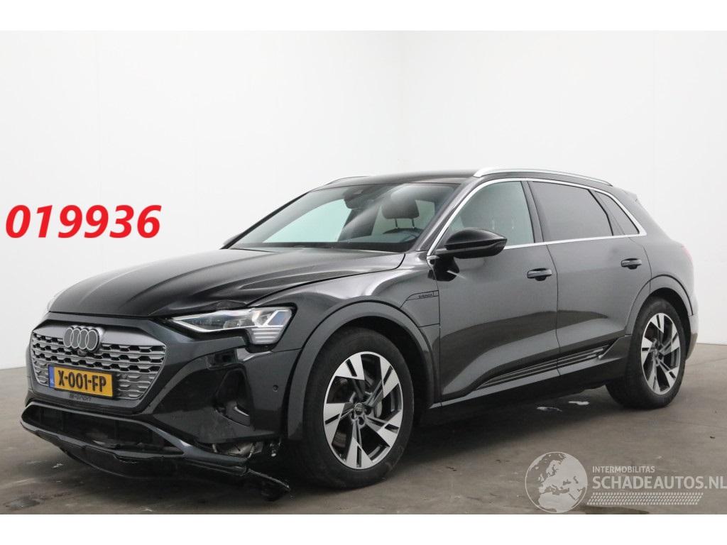 Audi Q8 50 Quattro Advanced Edition 95 kWh Leder LED ACC Memory