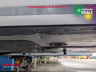 Krone  SD Kuhler Carrier Vector ME19 MT Doppelstock picture 10