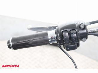 Harley-Davidson  FLSTC Heritage Softail Classic Python BY 2008 picture 20