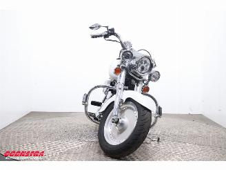 Harley-Davidson  FLSTF Fat Boy Vance Hines LED picture 6