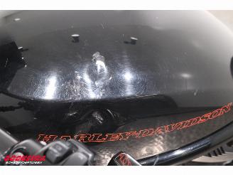 Harley-Davidson  VRSCD Night-Rod 5HD! picture 10