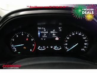 Ford Fiesta 1.0 EcoBoost Hybrid Titanium Navi Clima Cruise PDC picture 20