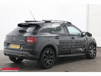 Citroën C4 cactus 1.2 PureTech Navi Clima Cruise PDC 92.137 km! picture 3