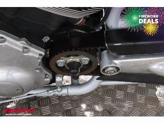 Harley-Davidson  VRSCA V-Rod 100 Year Anniversary. picture 12