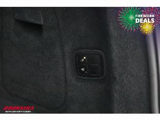 Porsche Cayenne 3.0 S E-Hybrid Sport Design BiXenon Memory Leder SHZ AHK picture 26