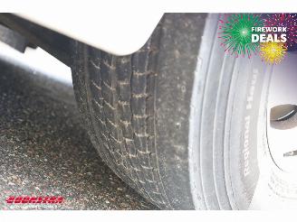 MAN TGS 18.320 Full Air LBW Dhollandia Camera Navi picture 40