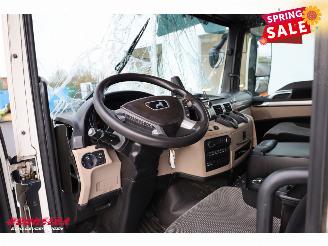 MAN TGS 18.320 Full Air XXL-LBW Camera Navi picture 26