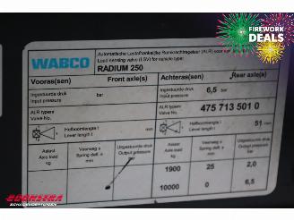   RADIUM 250 Silagewagen Stuuras 41.5m3 BY 2020 picture 22