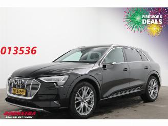 Coche accidentado Audi E-tron 55 Quattro MirrorCam 360° Memory SHZ AHK 2019/5