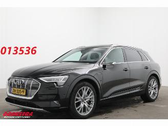 Schadeauto Audi E-tron 55 Quattro MirrorCam 360° Memory SHZ AHK 2019/5