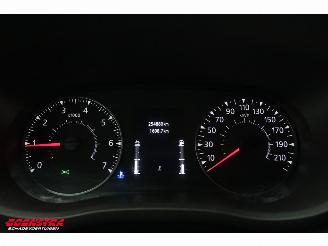 Renault Master 2.3 dCi LBW Bak-Klep Dhollandia Navi Airco Cruise picture 26