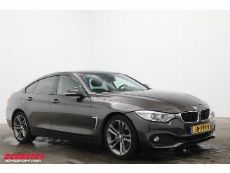 BMW 4-serie Gran Coupé 420d Aut. Leder Bixenon HUD 360° SHZ PDC picture 2