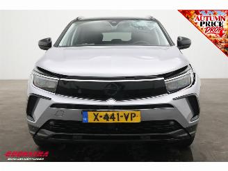 Opel Grandland 1.6 Turbo Plug-In Hybrid GS LED ACC Apple/Android LRHZ AHK picture 11