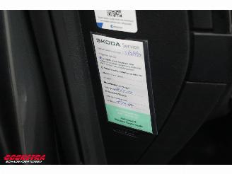 Skoda Karoq 1.5 TSI DSG Style LED Virtual ACC LRHZ Camera AHK picture 27