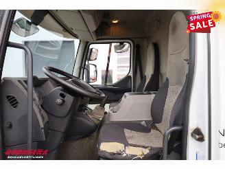 Renault Midlum 220.12 Kuhlkoffer Thermo King Dhollandia LBW Euro 5 picture 19