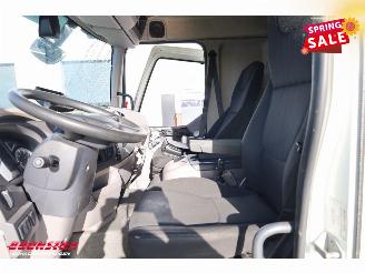 DAF LF 210 FA Aut. LBW Bak-Klep Dhollandia ACC 368.328 km! picture 38