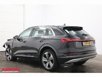 Audi E-tron 55 quattro 95 kWh Pano LED Cruise SHZ PDC picture 4