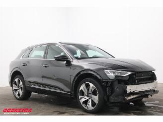 Audi E-tron 55 quattro 95 kWh Pano LED Cruise SHZ PDC picture 2