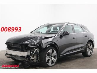 Coche accidentado Audi E-tron 55 quattro 95 kWh Pano LED Cruise SHZ PDC 2019/5