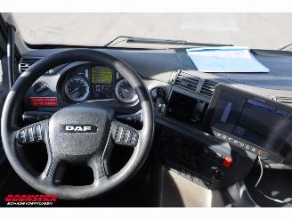 DAF CF 260 FA Turboschaden Carrier Iceland Twincooler LBW 360° Euro 6 picture 18